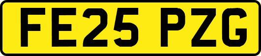 FE25PZG