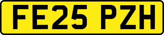 FE25PZH