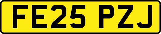 FE25PZJ