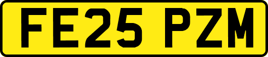 FE25PZM