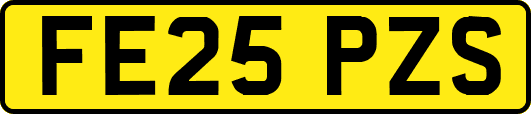 FE25PZS