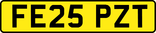 FE25PZT