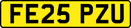 FE25PZU