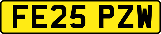 FE25PZW
