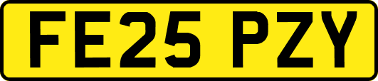 FE25PZY