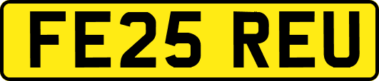 FE25REU