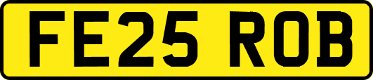 FE25ROB