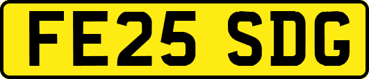 FE25SDG
