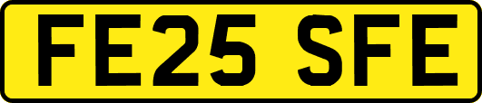 FE25SFE