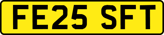 FE25SFT