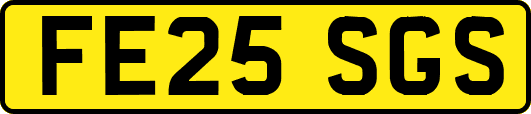 FE25SGS