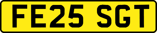 FE25SGT