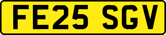 FE25SGV
