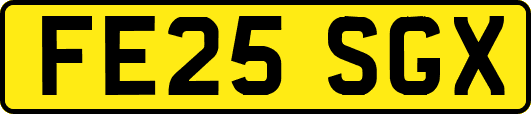 FE25SGX