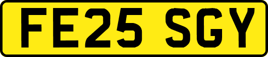 FE25SGY