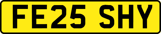 FE25SHY