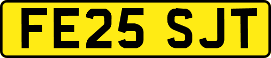 FE25SJT