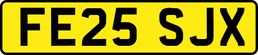 FE25SJX