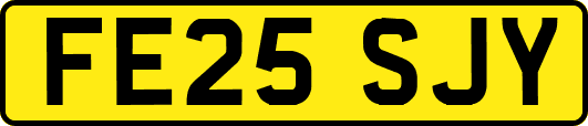 FE25SJY