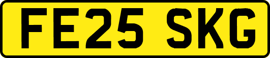 FE25SKG