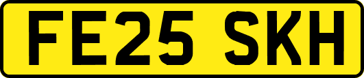 FE25SKH