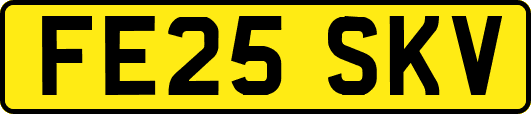 FE25SKV