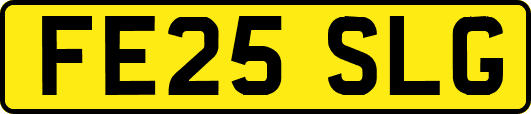 FE25SLG