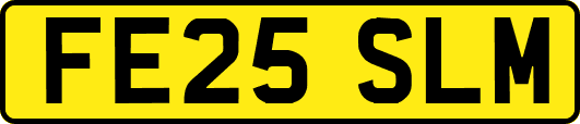 FE25SLM