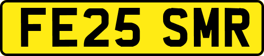 FE25SMR
