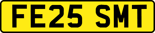 FE25SMT