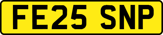 FE25SNP