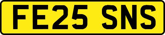 FE25SNS