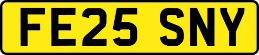 FE25SNY