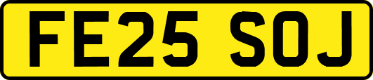 FE25SOJ