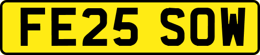 FE25SOW