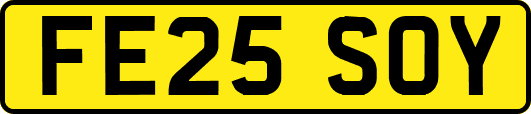 FE25SOY