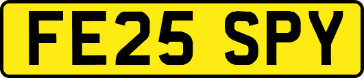 FE25SPY