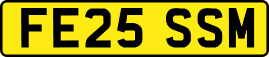 FE25SSM
