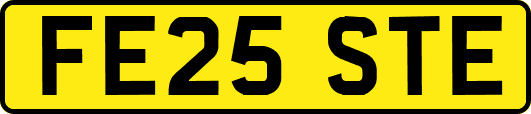 FE25STE