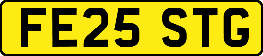 FE25STG