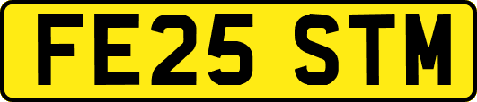 FE25STM