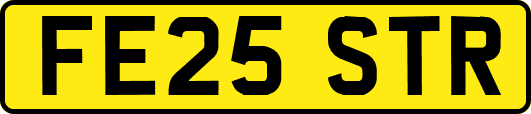 FE25STR