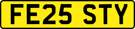 FE25STY
