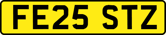FE25STZ