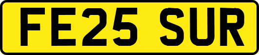 FE25SUR