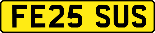 FE25SUS