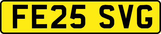 FE25SVG