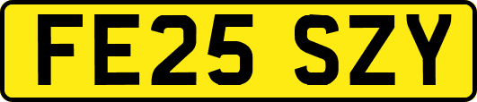 FE25SZY