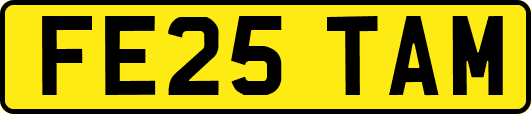FE25TAM