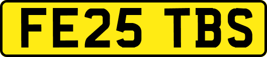 FE25TBS